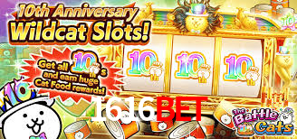 1616Bet,1616 Bet